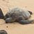 Kim Ellis's profile image