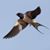 Mike Maxwell's profile image