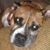 Jimmy Gootee's profile image