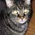 Keith Glueck's profile image