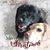 Lynn Vogel's profile image