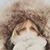 Teresa Morgan Muttillo's profile image