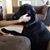 Kasey Brown Mcculloch's profile image