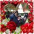 Maura Ferrer's profile image