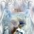 Bernadette Caputo's profile image