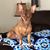 Carolyn Rose Bonner's profile image