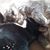 Lyn Hazley's profile image