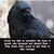 Teal D Cowans's profile image