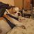 Darrell G. Whitehead's profile image