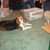 Kay Narelle's profile image