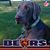 Courtney Pehl's profile image