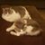 Jennifer Helstrom's profile image
