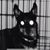 Casi Ryder's profile image