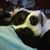 Camille L. Mac Lean's profile image