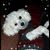Dianne Smith Beaudin's profile image