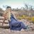 Danielle N Kyle Whitaker's profile image