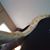 Justin Walbring's profile image