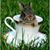 Kim D. Hazen's profile image