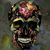Mike Moll's profile image