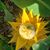Brent Moon's profile image