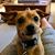 Jennifer Gardner Turner's profile image