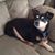 Nancy Chancellor-Smith's profile image