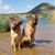Claire Cerame's profile image
