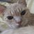 Alan Borchardt's profile image