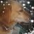 Darleen Makula's profile image