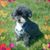 Holly McKinster Bardwell's profile image