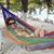 Molly Simone Vogel's profile image