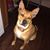 Krissy Lett's profile image