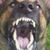 Dutchy TheRue's profile image