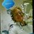 Vale Vale Cabassi's profile image