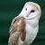 Debbie Hamilton's profile image