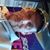 Michael Thompson's profile image