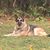 Cathy Pravel's profile image