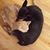 Ed Kris Swanerbury's profile image