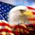 Dave Carl's profile image