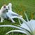 Tamara Lucy Lea's profile image