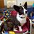 Sheri Morrow O'Brien's profile image