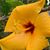 Mary Kathryn Davenport Countryman's profile image