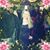 Krissy Sutton Briscoe's profile image