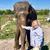 Cindy Willey Livingston's profile image