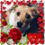 Jami Holt's profile image
