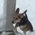Annalise Kurtzhalz Ennis's profile image