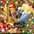 Joyce Oliveiea's profile image