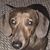 Ernie Rose's profile image
