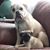 Annie Duncan Popp's profile image