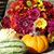 Amy Farnham Baker's profile image
